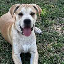 Thumbnail photo of Breaker #2