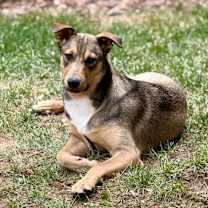 Thumbnail photo of Ullr #3