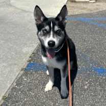 Thumbnail photo of HEAVEN #1