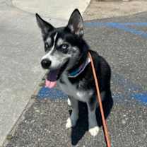 Thumbnail photo of HEAVEN #2