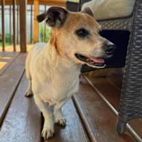 Thumbnail photo of Raph #2