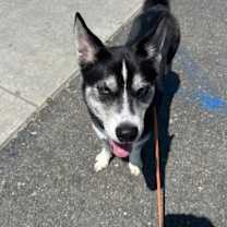 Thumbnail photo of HEAVEN #3