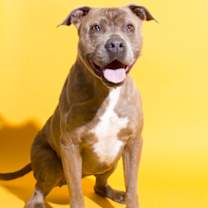 Thumbnail photo of Marla #3