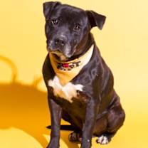 Thumbnail photo of Auto #3