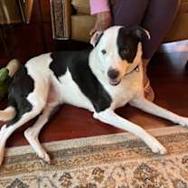 Thumbnail photo of Mason #1