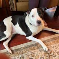 Thumbnail photo of Mason #2