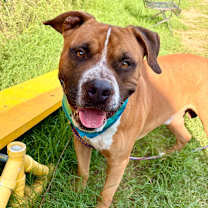 Thumbnail photo of Thor #3