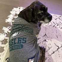 Thumbnail photo of Rocky #3