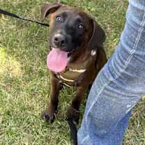 Thumbnail photo of Loki 0556 #2