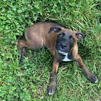 Thumbnail photo of Loki 0556 #3