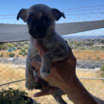 Thumbnail photo of Tic #4