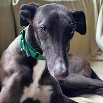 Thumbnail photo of Legacy #1