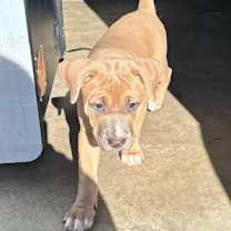 Thumbnail photo of TINKERBELL #3