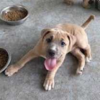 Thumbnail photo of TINKERBELL #4