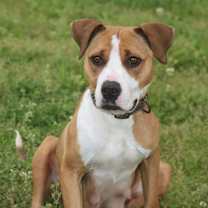 Thumbnail photo of Lucy Lane #1