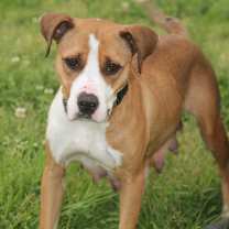 Thumbnail photo of Lucy Lane #2