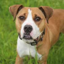 Thumbnail photo of Lucy Lane #3