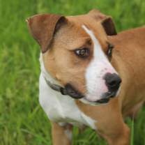 Thumbnail photo of Lucy Lane #4