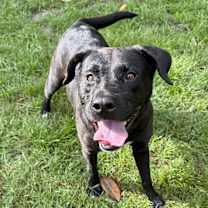 Thumbnail photo of Kim #1