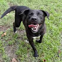 Thumbnail photo of Kim #2