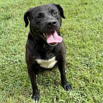 Thumbnail photo of Kim #3