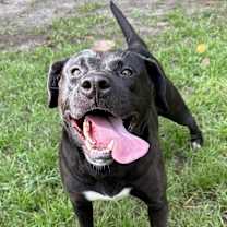 Thumbnail photo of Kim #4