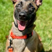 Thumbnail photo of Katara #1