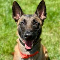 Thumbnail photo of Katara #2