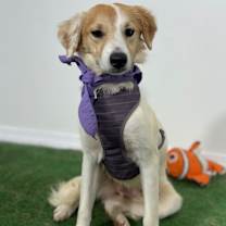 Thumbnail photo of London #1