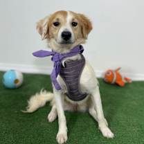 Thumbnail photo of London #3