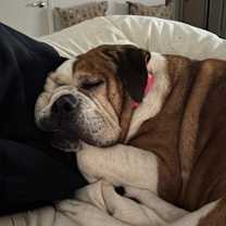 Thumbnail photo of Daisy #3