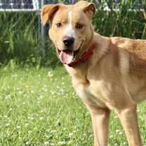 Thumbnail photo of Emmett #4