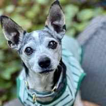 Thumbnail photo of Harold #2