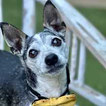 Thumbnail photo of Harold #3