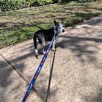 Thumbnail photo of Harold #4