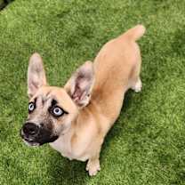 Thumbnail photo of Jill FJ #4