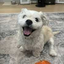 Thumbnail photo of Blossom #3