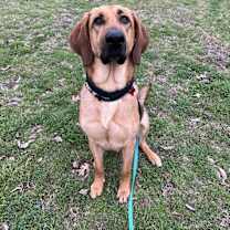 Thumbnail photo of Maddie #3