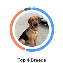 Thumbnail photo of Maddie #4