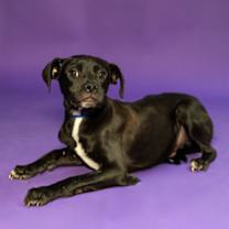 Thumbnail photo of Casper* #1