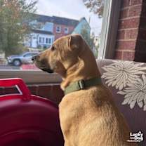 Thumbnail photo of Luca #3