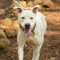 Thumbnail photo of Arty 56477 #2