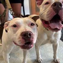 Thumbnail photo of Thea #2