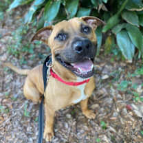 Thumbnail photo of Taffy #2