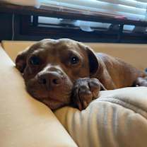 Thumbnail photo of Cliffie #2