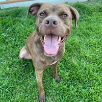 Thumbnail photo of Cliffie #3