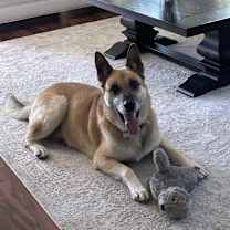 Thumbnail photo of Rusty #2