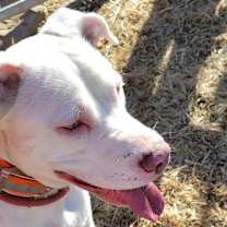 Thumbnail photo of Stormie #2