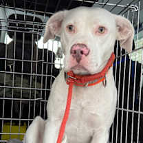 Thumbnail photo of Stormie #3