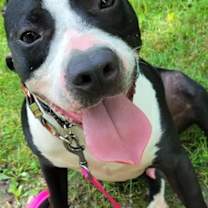 Thumbnail photo of Banksy #1